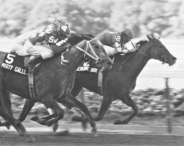 NYRA- Genuine Risk, Jacinto Vasquez up, Misty Gallore (D. MacBeth up), Ruffian Hdcp, Belmont, 09.27.1980