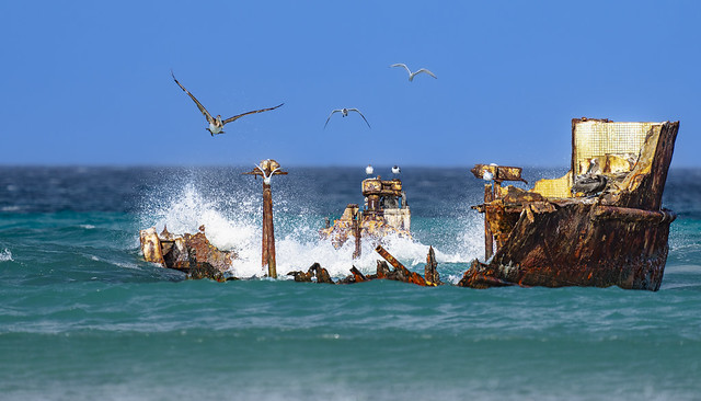 Shipwreck with Birds