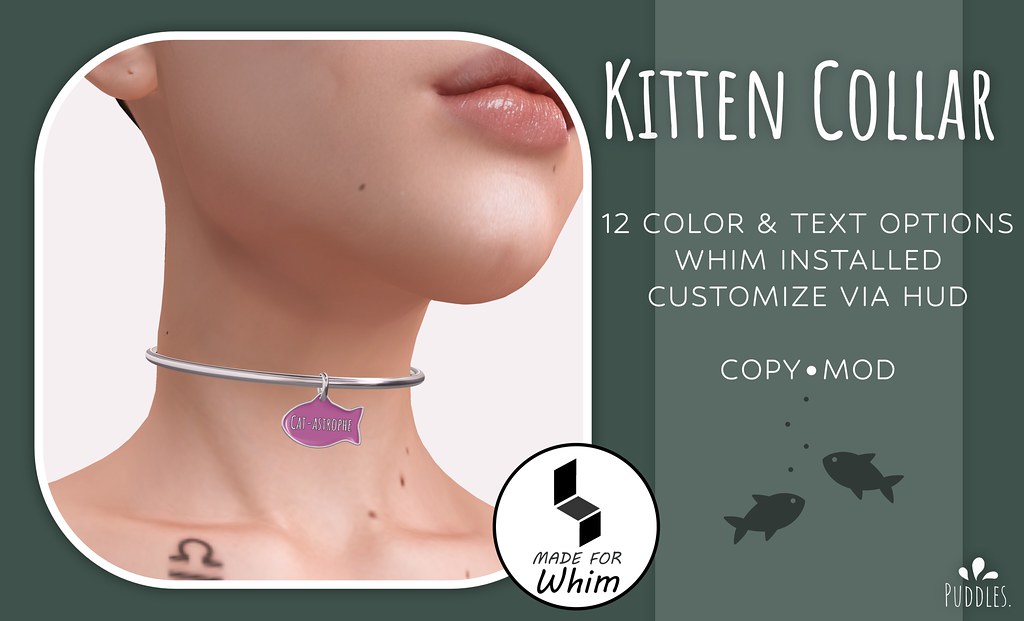 Kitten Collar.