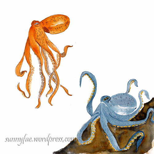wc octopus colour test