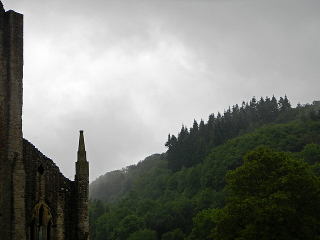The landscape around the ruins at Tintern Abbey in Wales