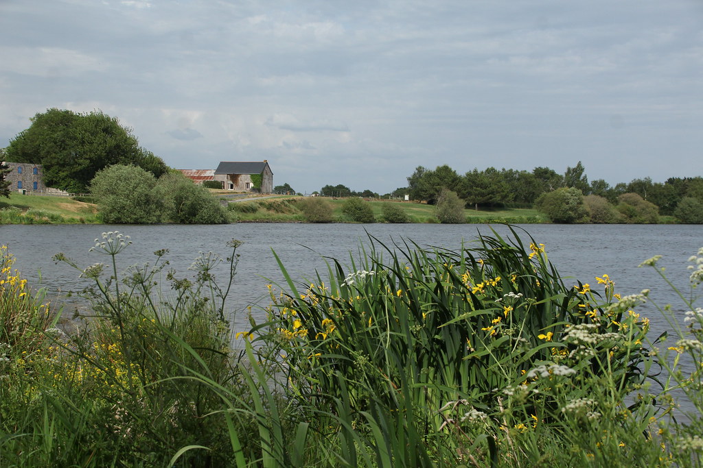 L'étang de Beaumont - Issé