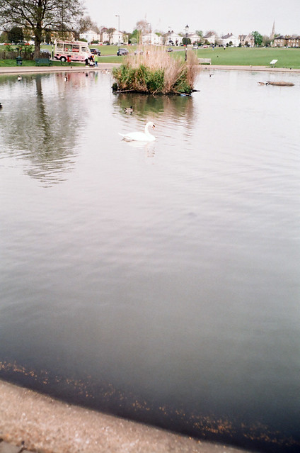Swan glide