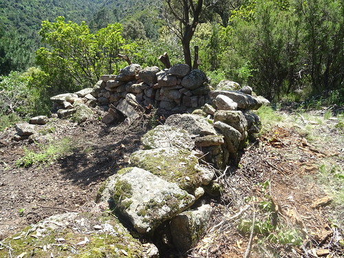 HR12 : vestiges de la bergerie de Strascinedda après démaquisage