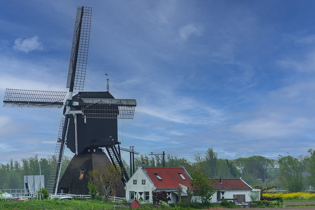 Water Windmill in Holland