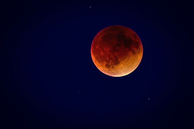 Super Flower Blood Moon Total Eclipse