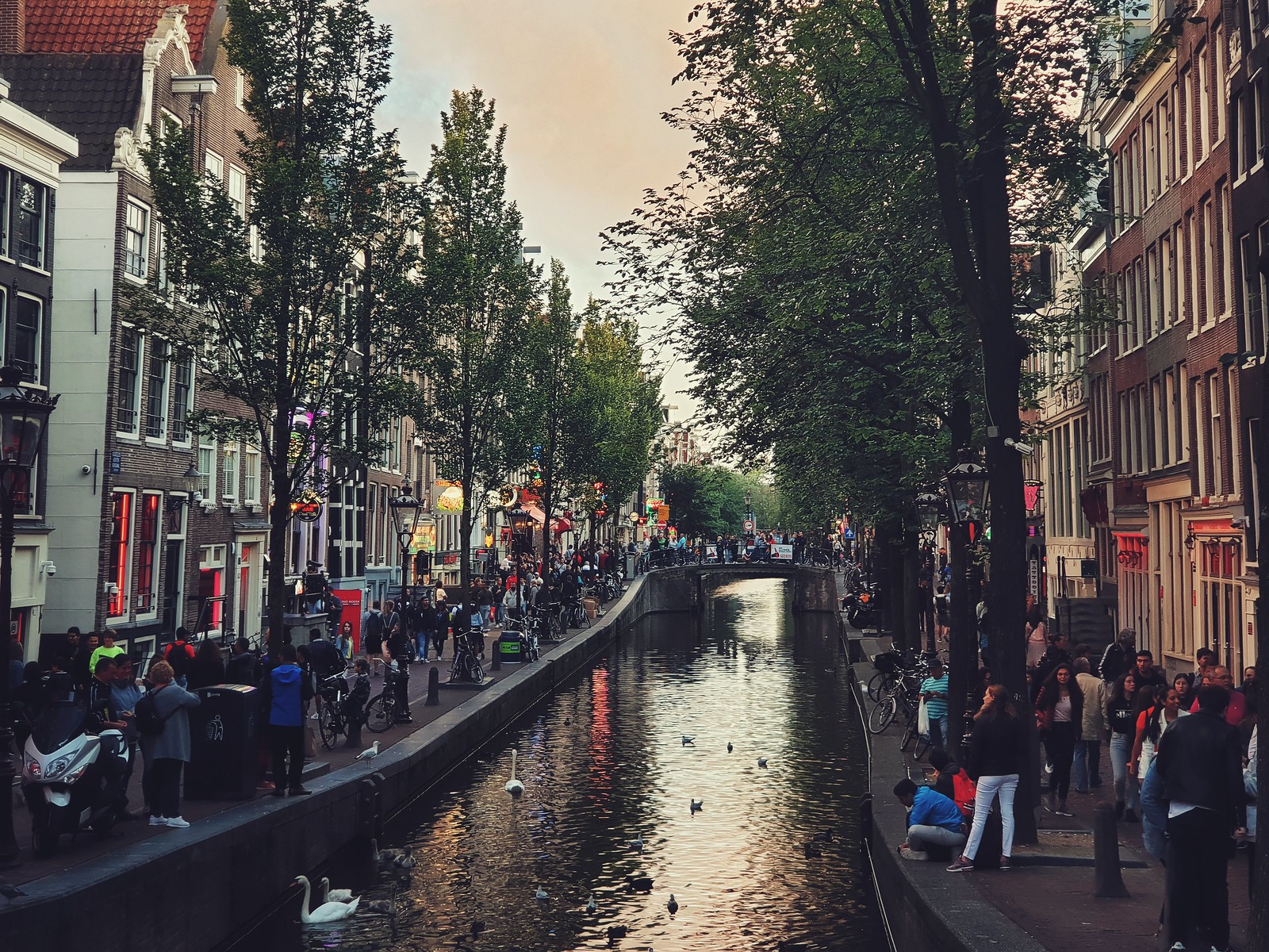 Barrio Rojo de Amsterdam - foto de Pixabay