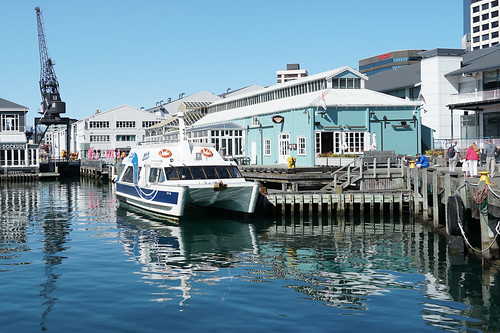 <p>Wellington Harbour Ferry 'City Cat'</p>