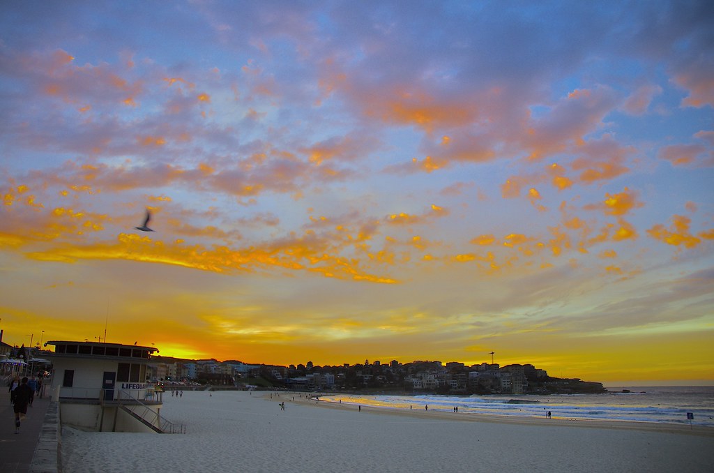 Dawn at Bondi Beach