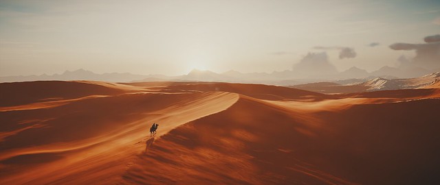Endless Sands