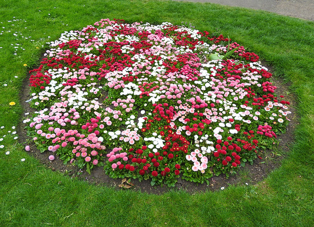 Flower bed in the Castle Gardens, Bishops Stortford