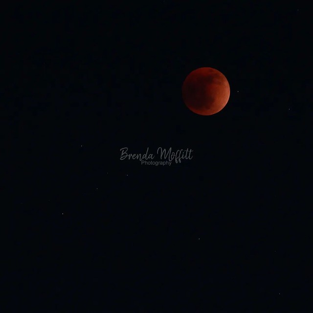 Super Flower Blood Moon, La Mesa, California, May 15, 2022. Even though we got out a little late, we had a great view of the moon in a parking lot just a few steps away. Pulled up a chair, set up the tripod, ate some chocolate, and watched the moon enter