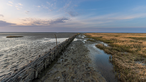 IMG_8539-HDR | by HoiteJouke.NL