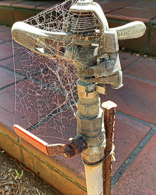 Sprinkler with Webs