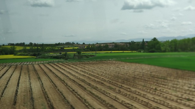 The view from the bus window in Northern Spain on our way to Logroño, La Rioja, Spain