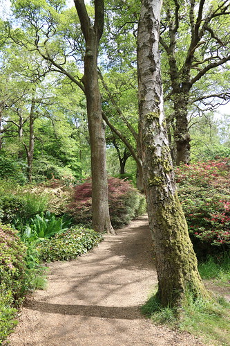 The Isabella Plantation, Richmond Park