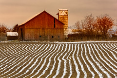 Plow Furrows and Barn in Winter in Michigan