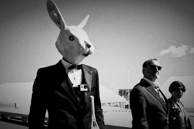 Un lapin sur la Croisette – 66 ème Festival du film de Cannes, 2013.