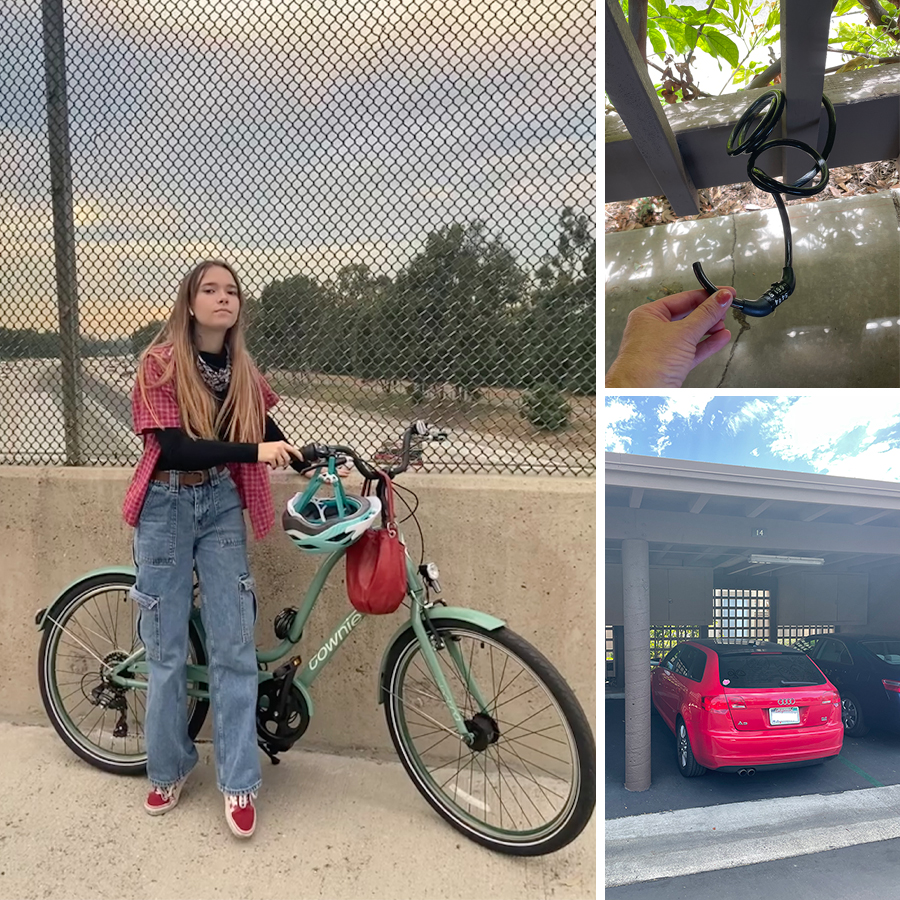 bug-got-her-bike-stolen