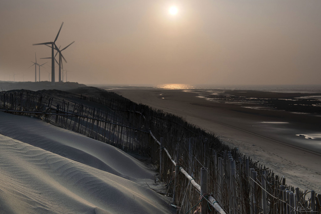 Wind Turbines Stand on the Sand Dunes