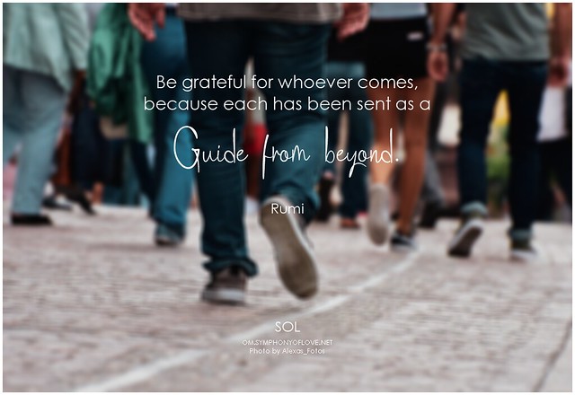 Rumi Be grateful for whoever comes, because each has been sent as a guide from beyond
