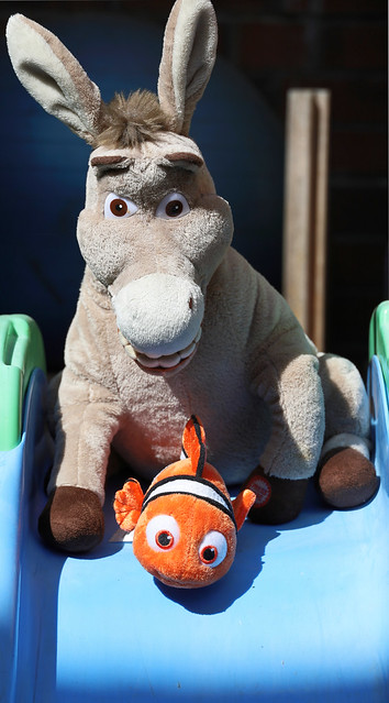 Donkey and Nemo enjoying the slide in the sun.  IMG_8921
