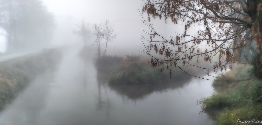 Countryside in the Fog