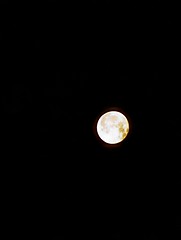 The moon last night ud83cudf15