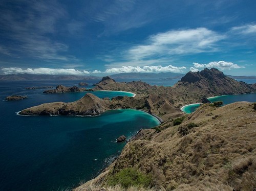 Komodo indonesia