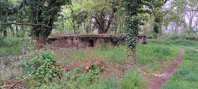 WWII Heavy Anti-Aircraft Battery Gun Emplacement Command Post, Mautby Road, Mautby.