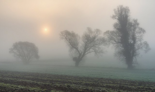 *sunrise in the fog II*