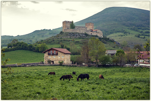 Charming castle in the grasslands