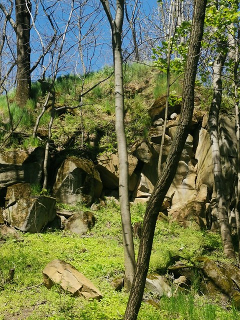 Żelowice nephelinite quarry