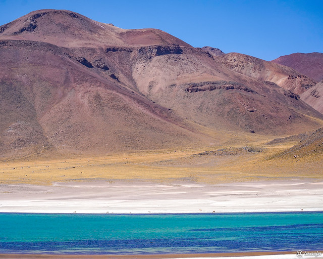 Lagunas Miscanti @ San Pedro de Atacama, Chile #Chile #Atacama #MagicColors