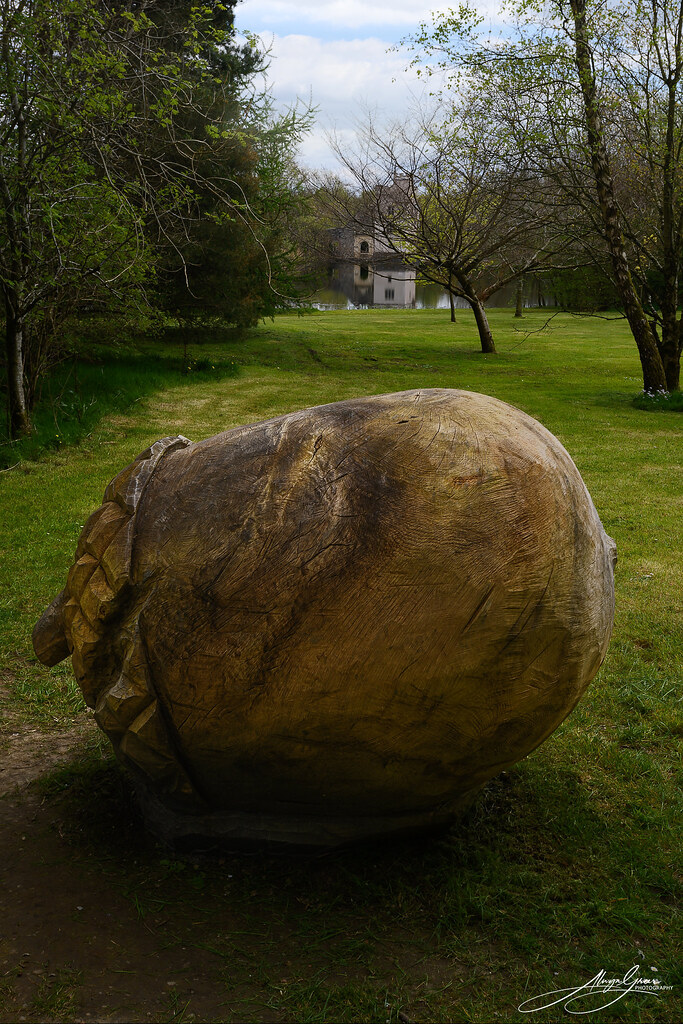 Acorn sculpture, Oakfield Park, Raphoe, Co. Donegal, Ireland