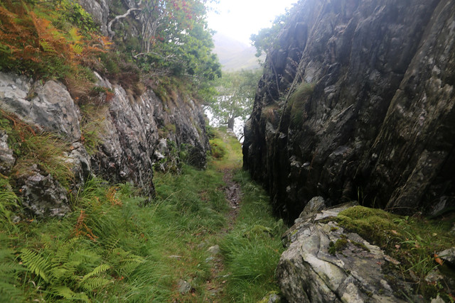 Coast  path on Loch Hourn