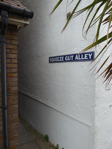 Squeeze Gut Alley