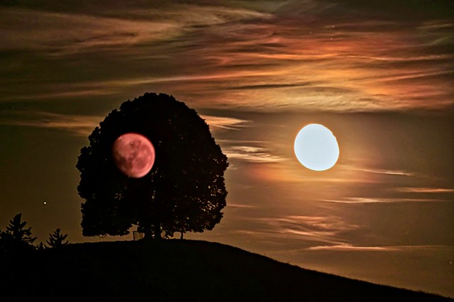 double moon & tree