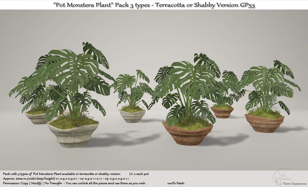 .:Tm:.Creation "Pot Monstera Plant" Pack 3 types – Terracotta or Shabby Version GP53