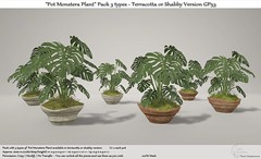 .:Tm:.Creation "Pot Monstera Plant" Pack 3 types - Terracotta or Shabby Version GP53