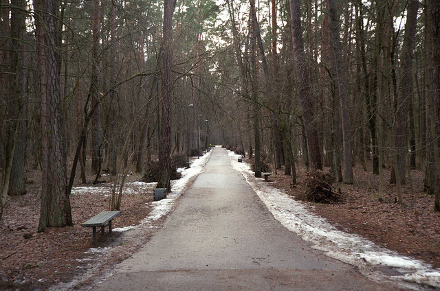 Vingis Park, February 2022
