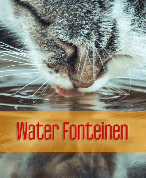 Kenmerken van Battery Cat Drinkfontein