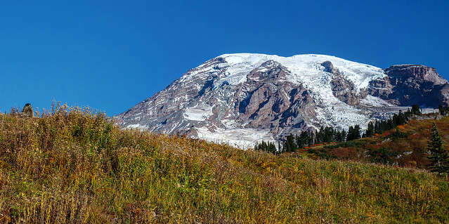 Marmot and Mount Rainier