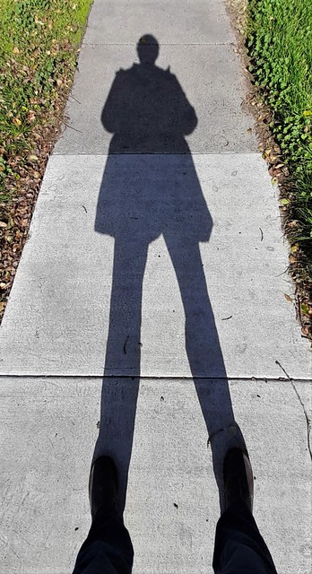 Shadow at my feet