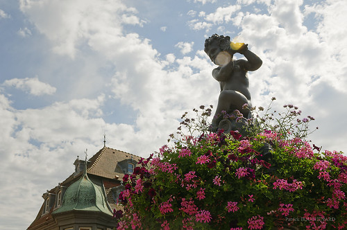 Sur le pot de fleurs | by patoche21