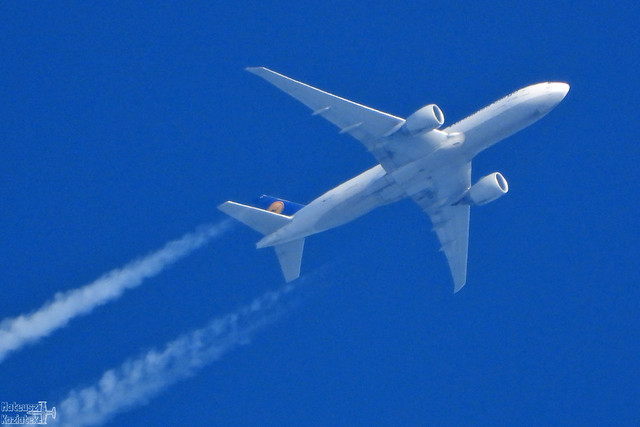 Lufthansa Cargo 🇩🇪 Boeing 777-FBT D-ALFD