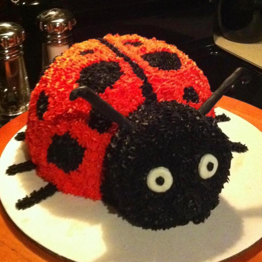 Ladybug Cake by April Cakes