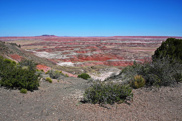 Painted Desert - Petrified Forest National Park
