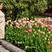Posing with the Tulips