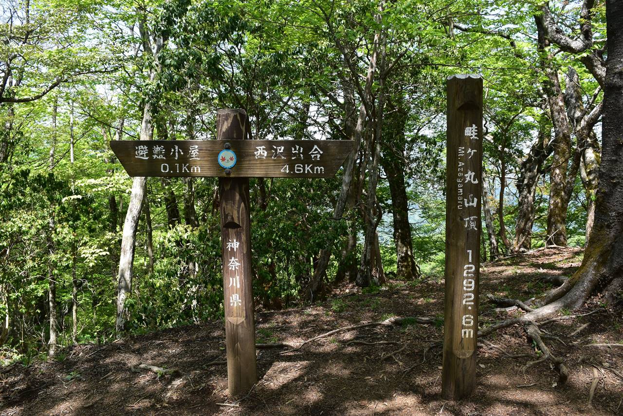【丹沢】畔ヶ丸 新緑とシロヤシオと滝が美しい5月の登山